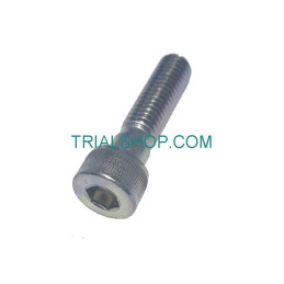 VITE BRUGOLA M8X32