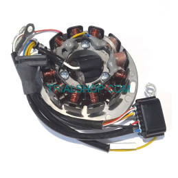 Statore Sherco 125cc 2T