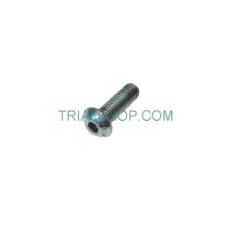 SCREW M5x16 ISO7380 8.8
