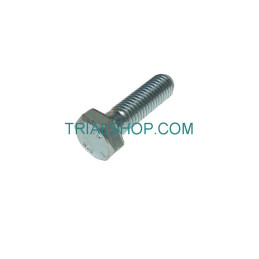 BULLONE 8.30 PF CH 13 RS