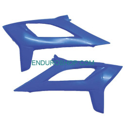 CONVOGLIATORI COPPIA BLUE RR