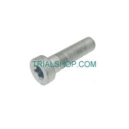 Torx 10X40 paso 125