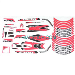 DECALCO SERIE COMPLETA EVO...