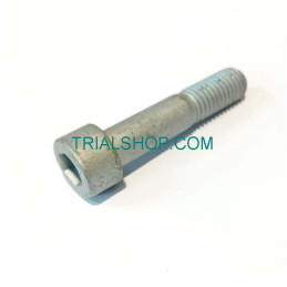Set screw w.hexagon socket...