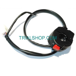 DIP LUCI CON FRECCE RR 50