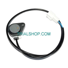 BASETTA SPIA FOLLE 37720-4