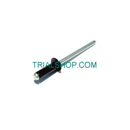 RIVETTO 3x8 CASSA FILTRO