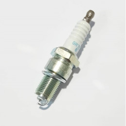 Candela Iridio T40352G Beta...