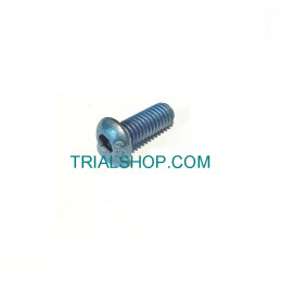 SCREW M6x16 ISO7380 8.8