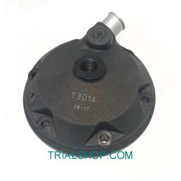 Testa cilindro 300 cc Gas...