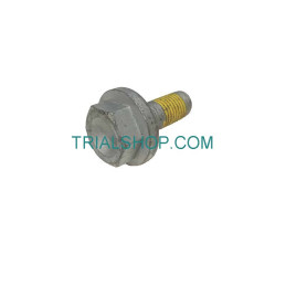 SCREW 10X25