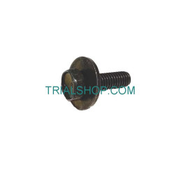VITE FLANGIATA M6X20