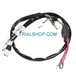 MAIN HARNESS