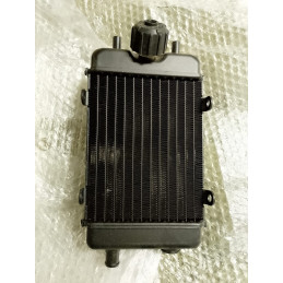 RADIATORE SCORPA