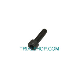 SCREW ALLEN 5X20 OIL CLUTH