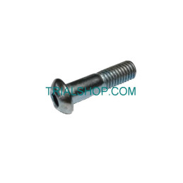 SPECIAL SCREW M8X25 10.9...