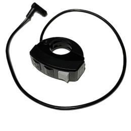 DISPLAY REMOTE 2024