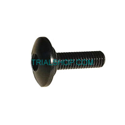 SCREW M5X16