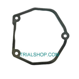FLYWHEEL COVER SEAL