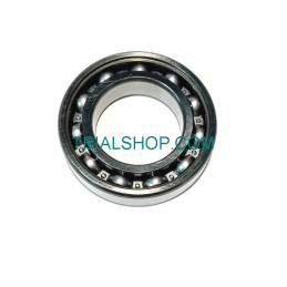 BEARING 6007