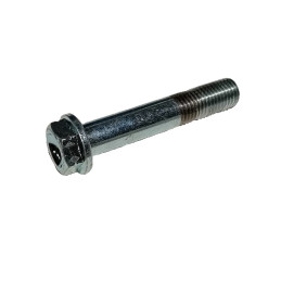 Torx 10X50 paso 125
