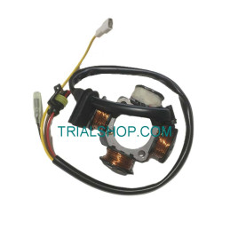 Statore volano Beta Evo 80cc