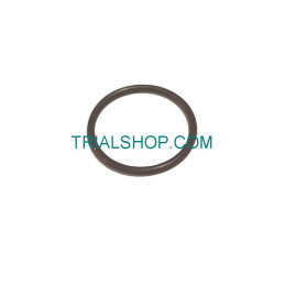 O-RING 19 X 1,5