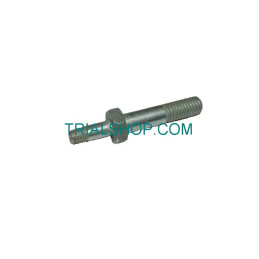 BULLONE SPECIALE CAVALLETTO