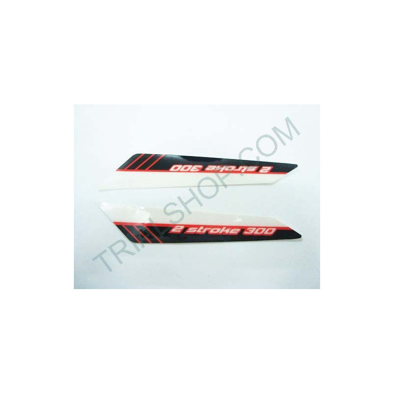ADESIVO CILINDRATA BETA EVO 2T 300 2012/2013