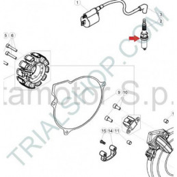 Candela Iridio T40352G Beta Evo 2T