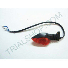 INDICATORE DIREZ. ANT DX – POST SX