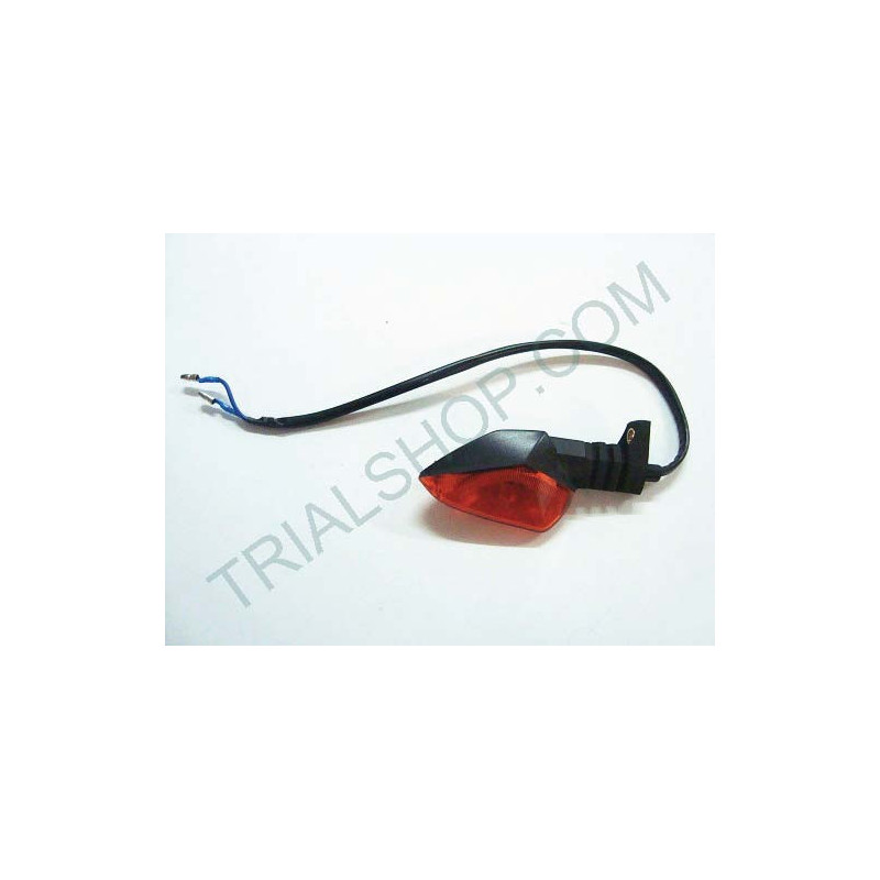 INDICATORE DIREZ. ANT DX – POST SX