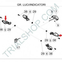 INDICATORE DIREZ. ANT DX – POST SX