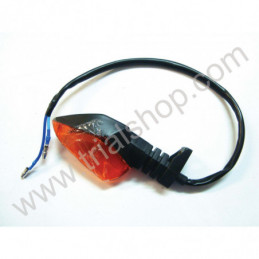 INDICATORE DIREZ. ANT SX – POST.DX