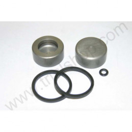 Kit pistoncino pinza posteriore Beta EVO 2T