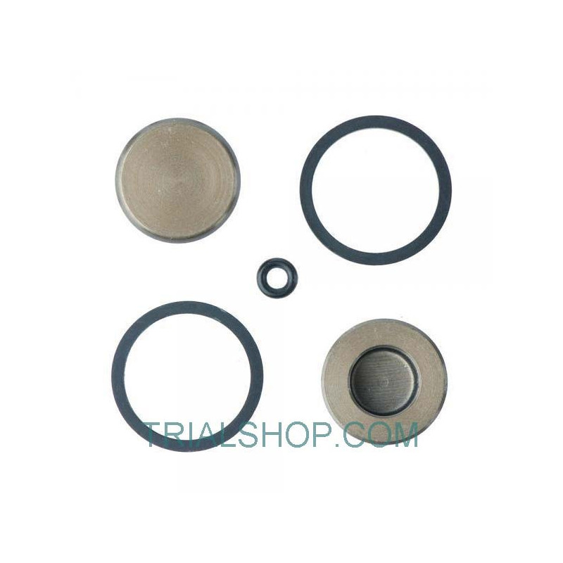 Gruppo pistone pinza freno posteriore Beta EVO 2T