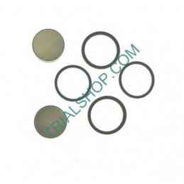 Kit pistoncini e guarnizioni pinza EVO 2T-REV 4T