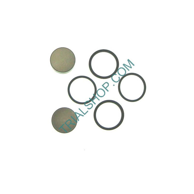 Kit pistoncini e guarnizioni pinza EVO 2T-REV 4T