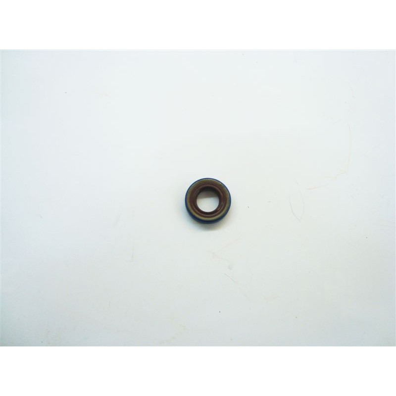 ANELLO PARAOLIO 10X18X4 BSL