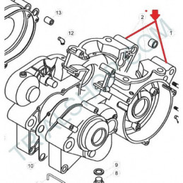 CARTER CMPL -RICAMBI-250/300CC