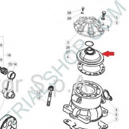 CAMERA DI COMBUSTIONE250/250factory cc