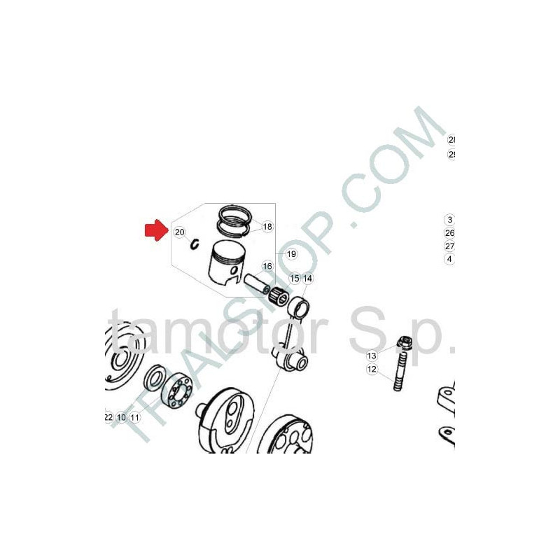 PISTONE COMPLETO D.79 sel B 300/300FACT/300SS cc
