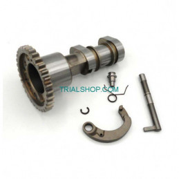 ALBERO A CAMME SCARICO COMPLETO 450