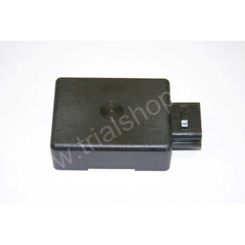 CENTRALINA DIGITALE EVO 2T 290CC