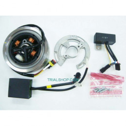 KIT ACCENSIONE REV 200/250/270 2000