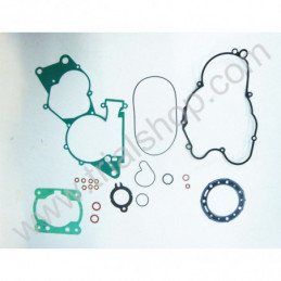 SERIE GUARNIZIONI EVO 2T 300CC