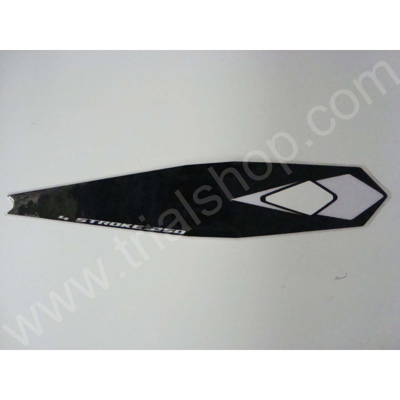 DECALCO EVO-4T’09 -PARAF.POST. 300