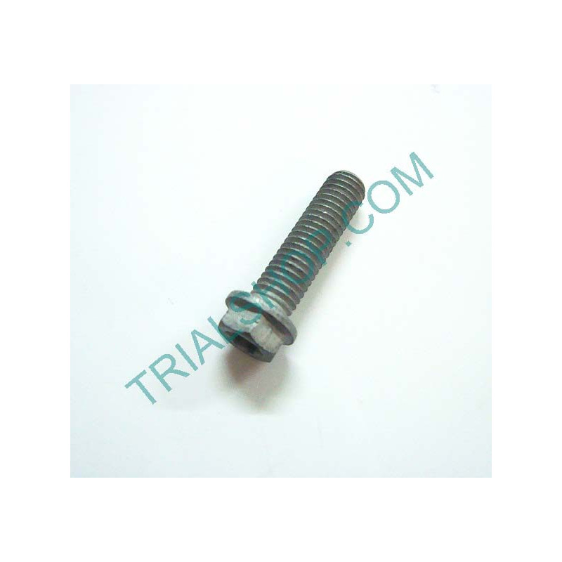 VITE TEF M8X30 SPECIALE