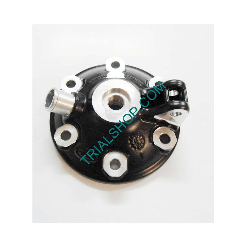 TESTA 300CC -NERA-