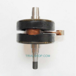 ALBERO MOTORE VTM-TS’09 250/290CC
